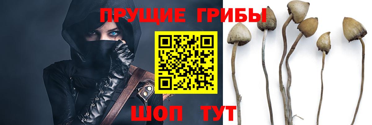 Минусинск  Галлюциногенные грибы мицелий  Вход с VPN 